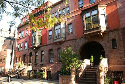 Planning Your Fall Day Trip to Harlem's Mt Morris Park Historic District