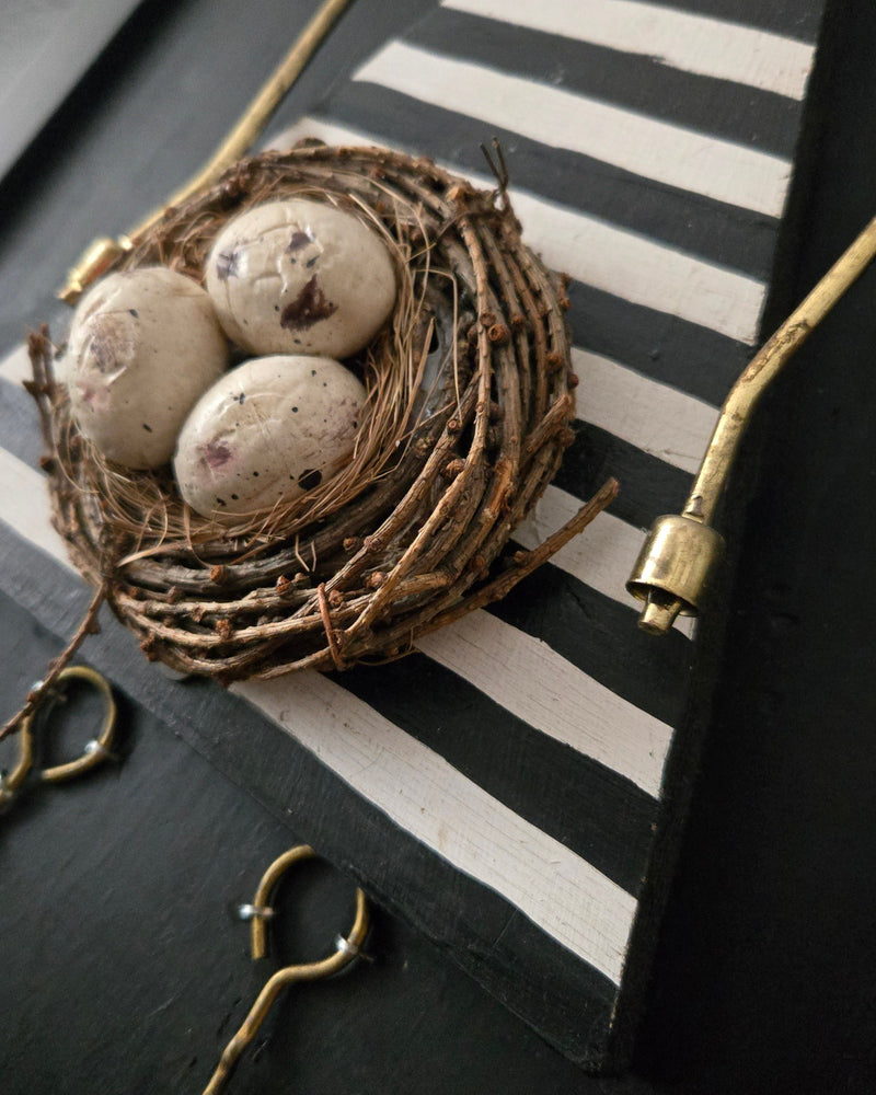 Sister Pitter Patter